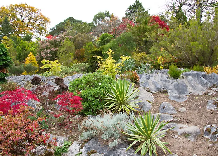 Hotell Brook Boutique 4*