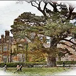 Brook Boutique Hotel