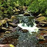 Brook Boutique 4* Killarney