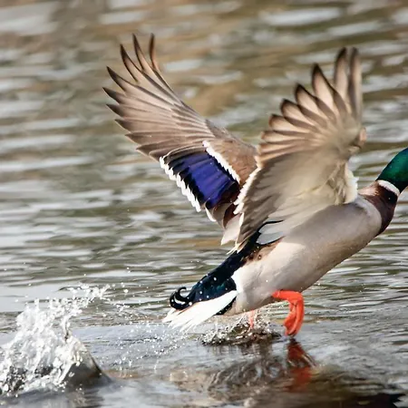 Brook Boutique Ξενοδοχείο