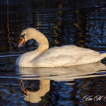 Ξενοδοχείο Brook Boutique Κιλάρνεϊ