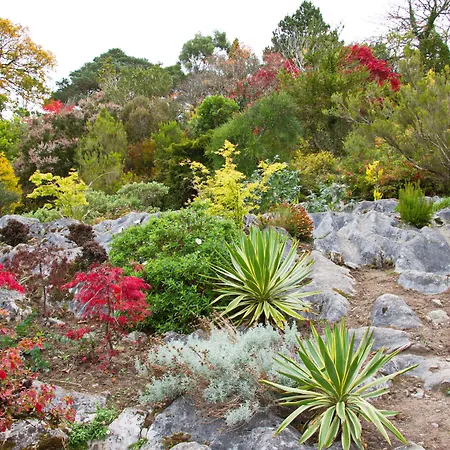 Szálloda Brook Boutique 4*