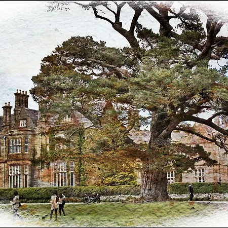 Brook Boutique Szálloda