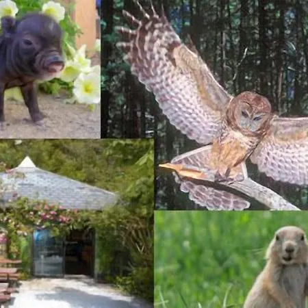 Szálloda Brook Boutique Cill Airne