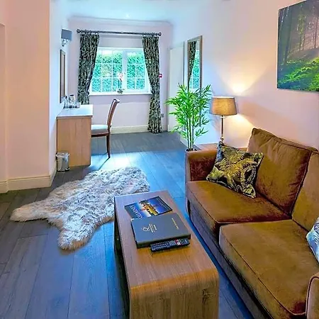 Hotel Brook Boutique