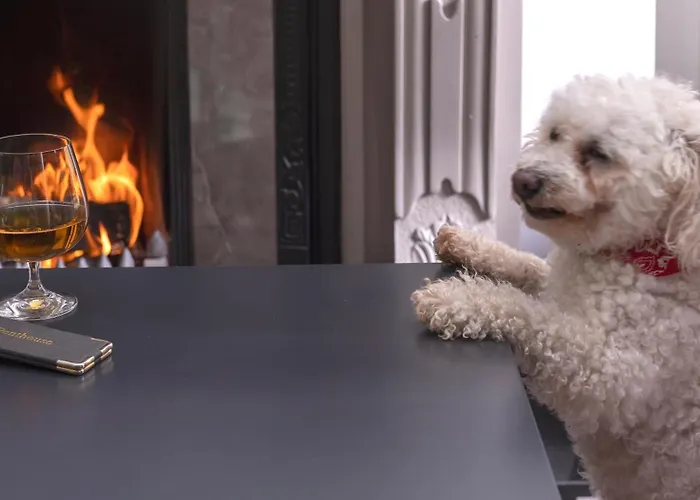 Brook Boutique Hotel Killarney