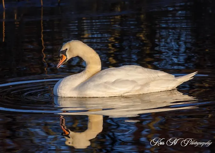 Hotel Brook Boutique Killarney