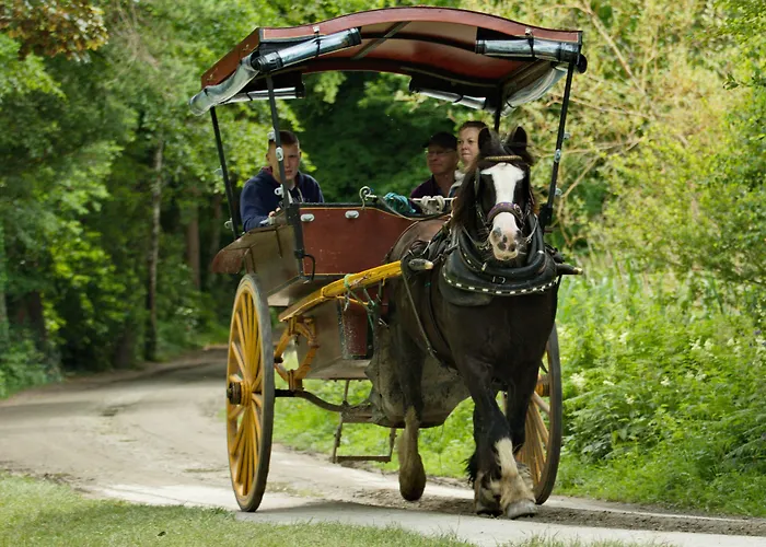 Brook Boutique Килларни