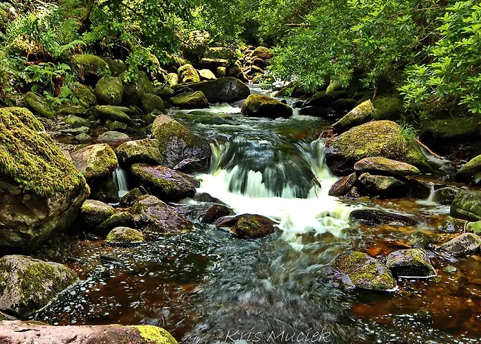 Brook Boutique 4* Killarney