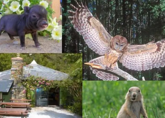 Hotel Brook Boutique Killarney