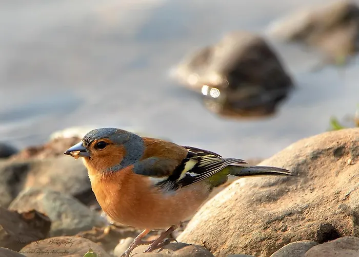 Brook Boutique Hotel